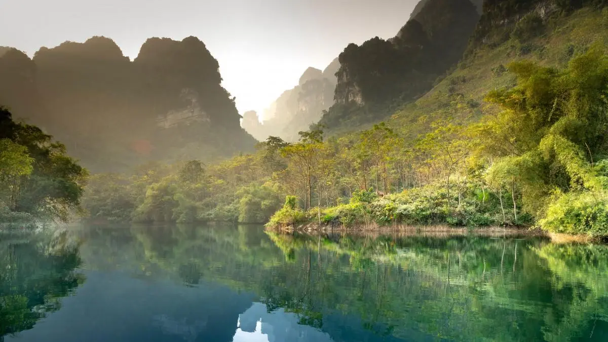 绿色可靠性高质量